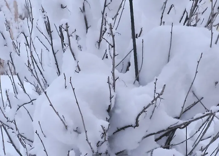 Taubenhaus